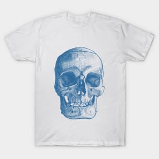 Front Skull Sketch - Blue/Light T-Shirt